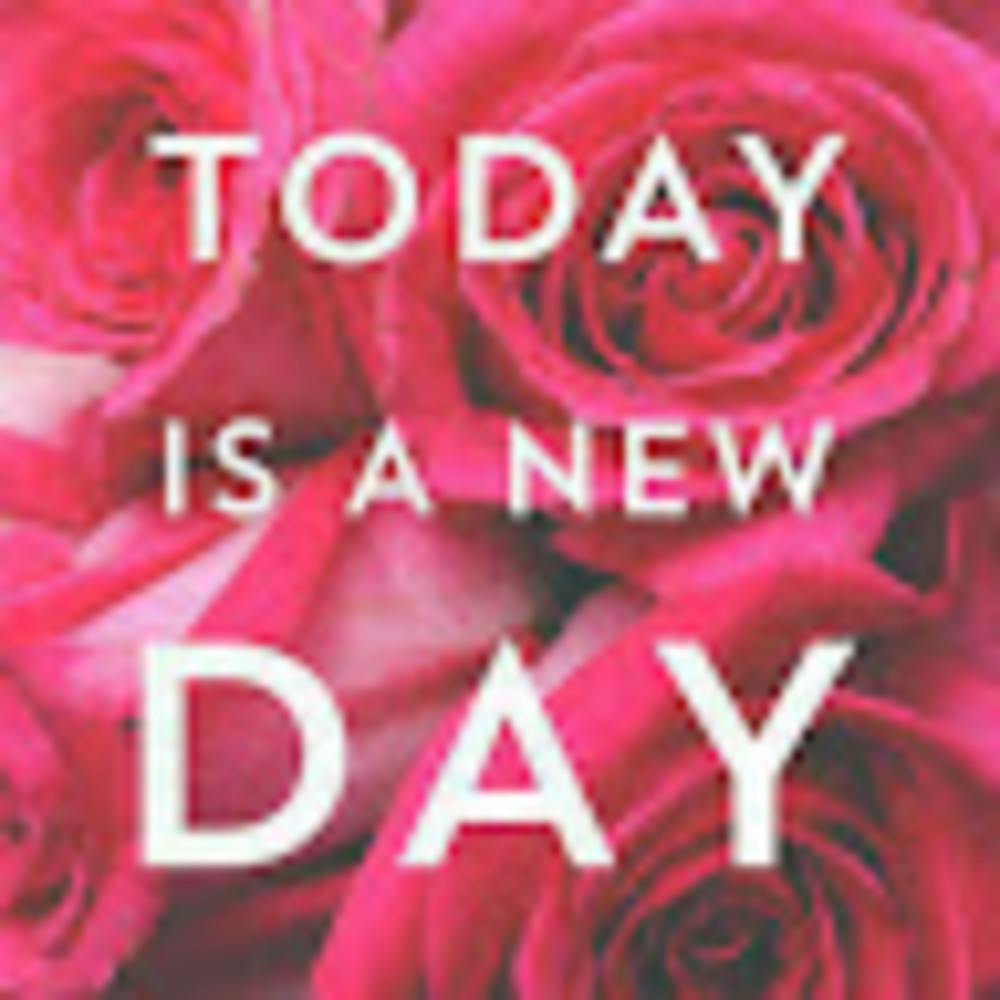 Meet your Posher, Josefina